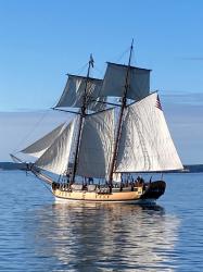 Sultana: On our third day out of LBM, we sailed past the Sultana.  It is a replica of an old cargo schooner
